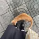 周女士的个人头像